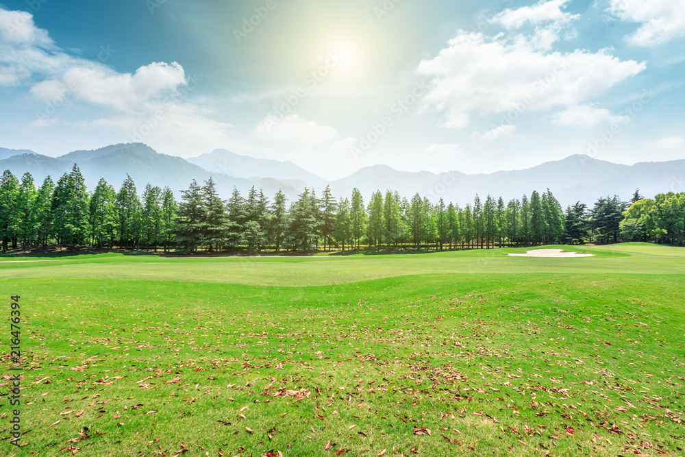 Green grass and mountains with trees landscape