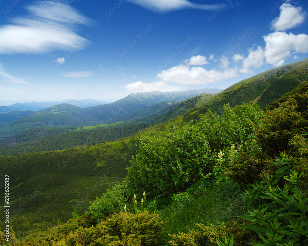 夏季山地景观