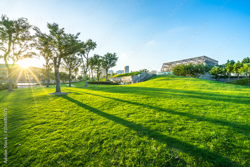 城市天际线与城市绿地