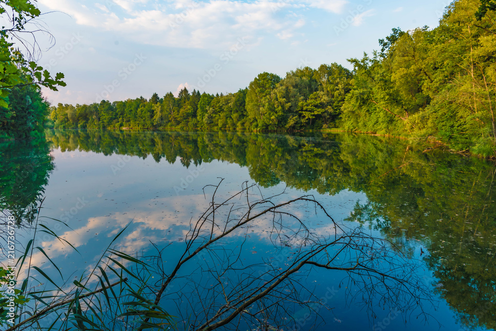 Weiher mit Laubwald Spiegelung