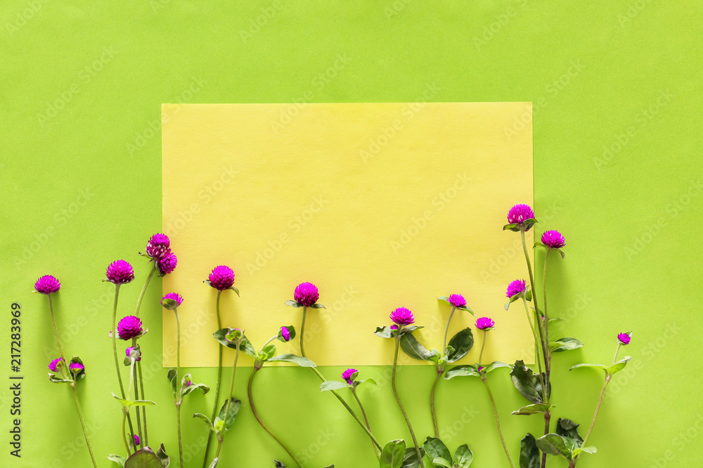 美丽的花朵，彩色背景上有空白卡片