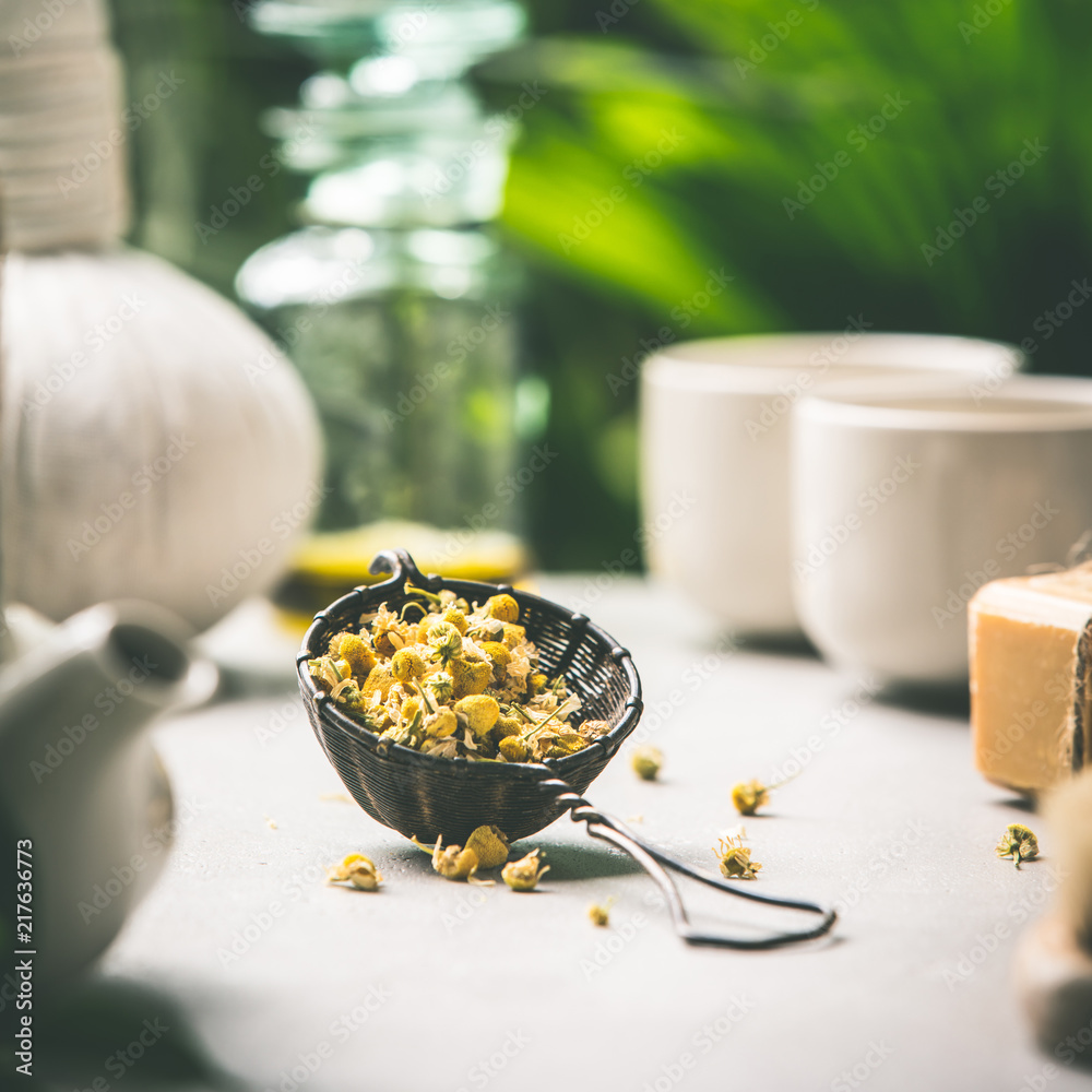 Tea composition on tropical leaves background