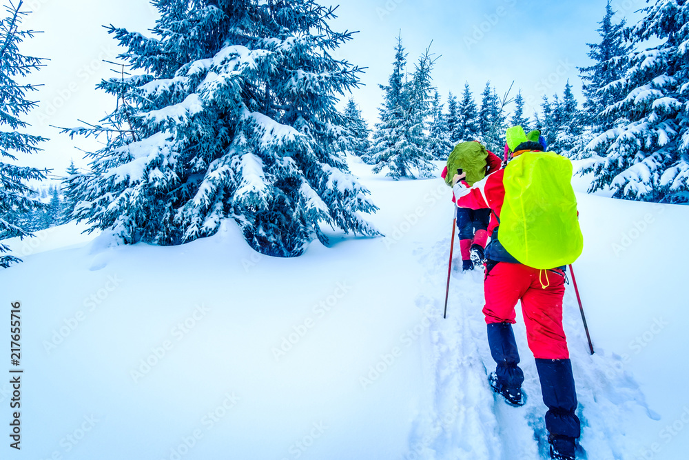 游客带着登山杖和明亮的背包在冬季山区行走。背包客行走