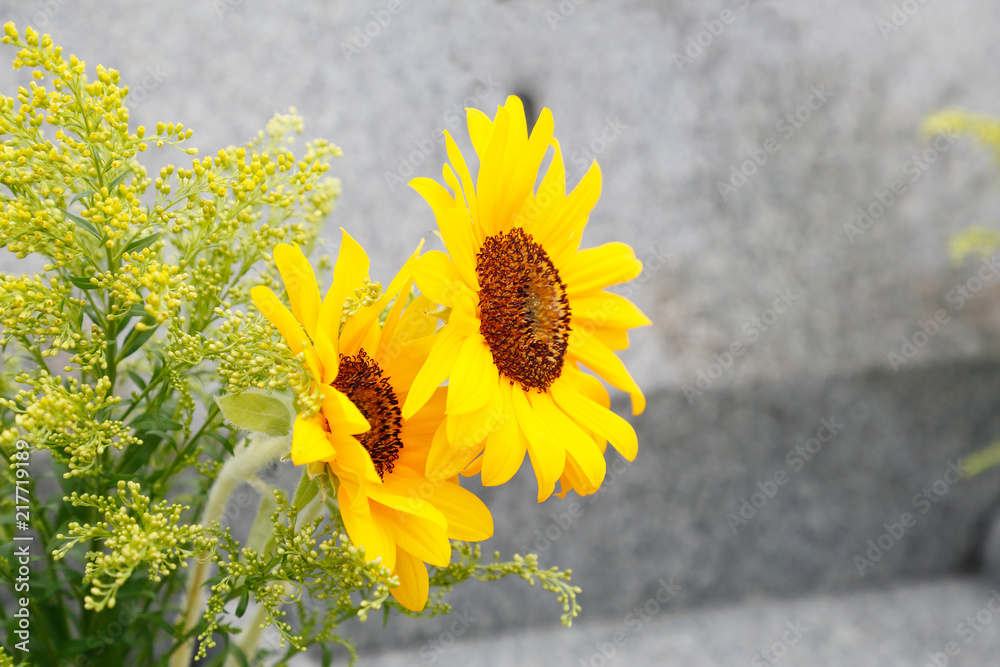 霊園の墓石と花