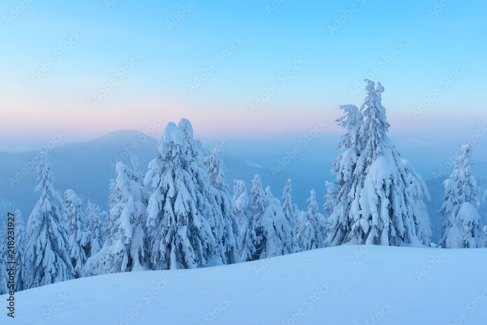 阳光照耀下的雪山中令人惊叹的橙色冬季景观。戏剧性的冬季场景