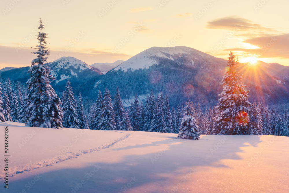 阳光照耀下的雪山中令人惊叹的橙色冬季景观。戏剧性的冬季场景