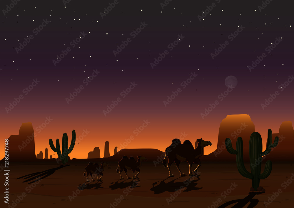 A desert landscape at night