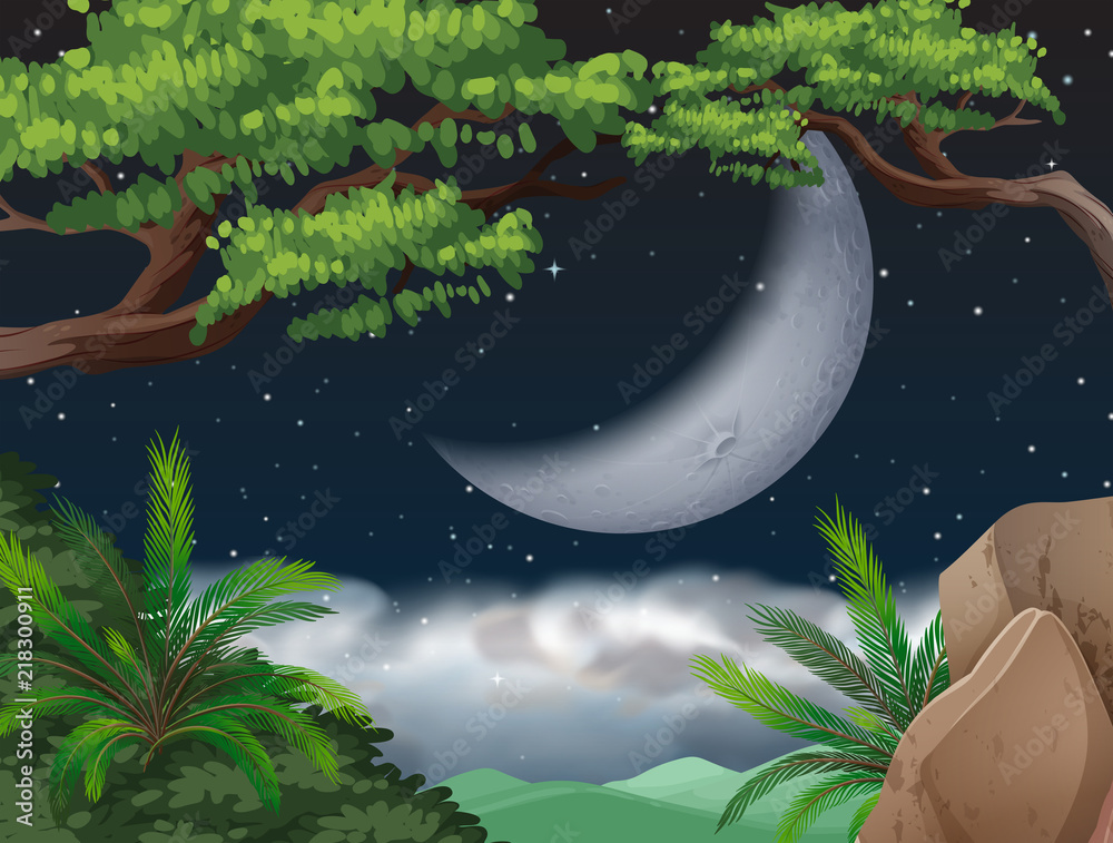 Cresent moon over jungle