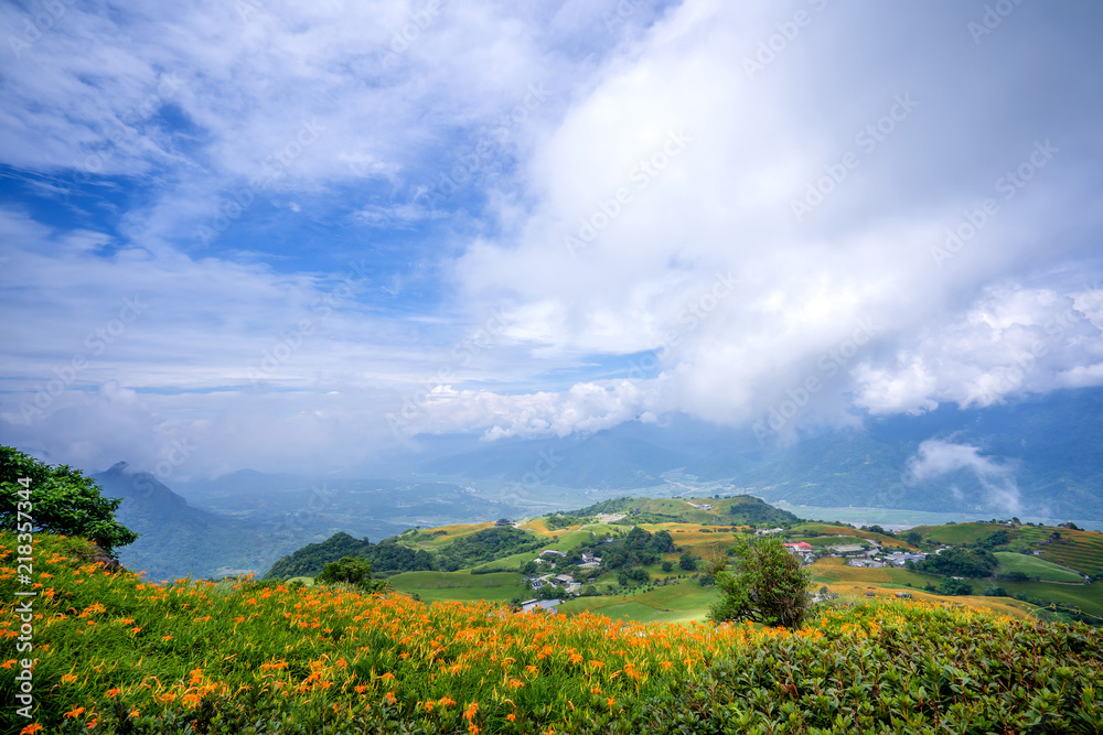 六十石山（柳石丹山）的橙色黄花（茶色黄花）花卉农场，蓝色s