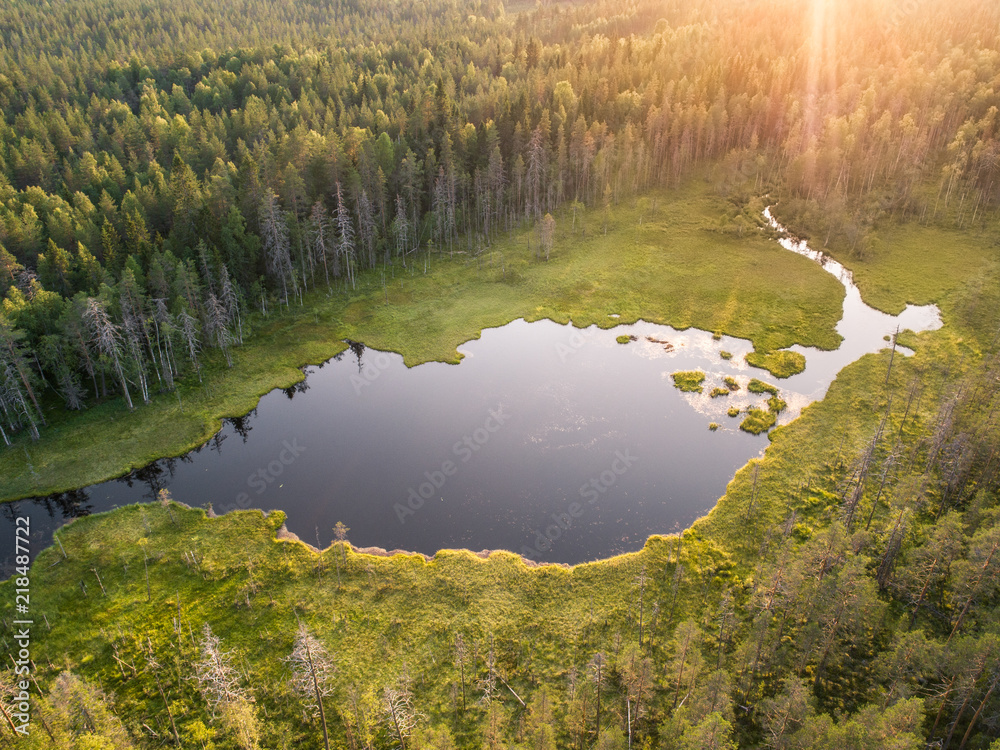 Aerial view of forest and little lake or pond in boreal aka taiga forest in Finland