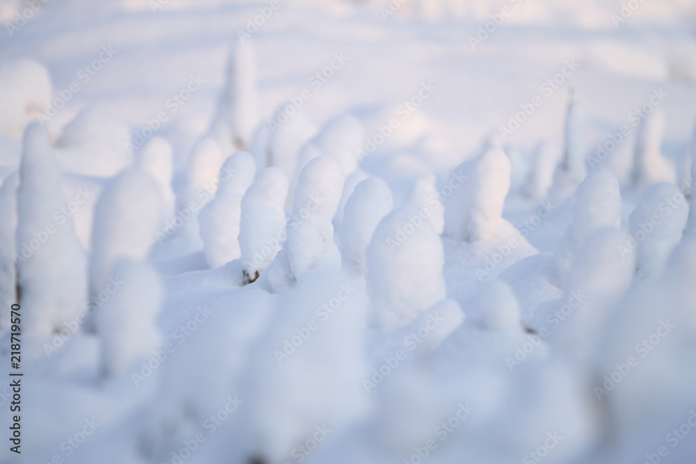 纯白的雪