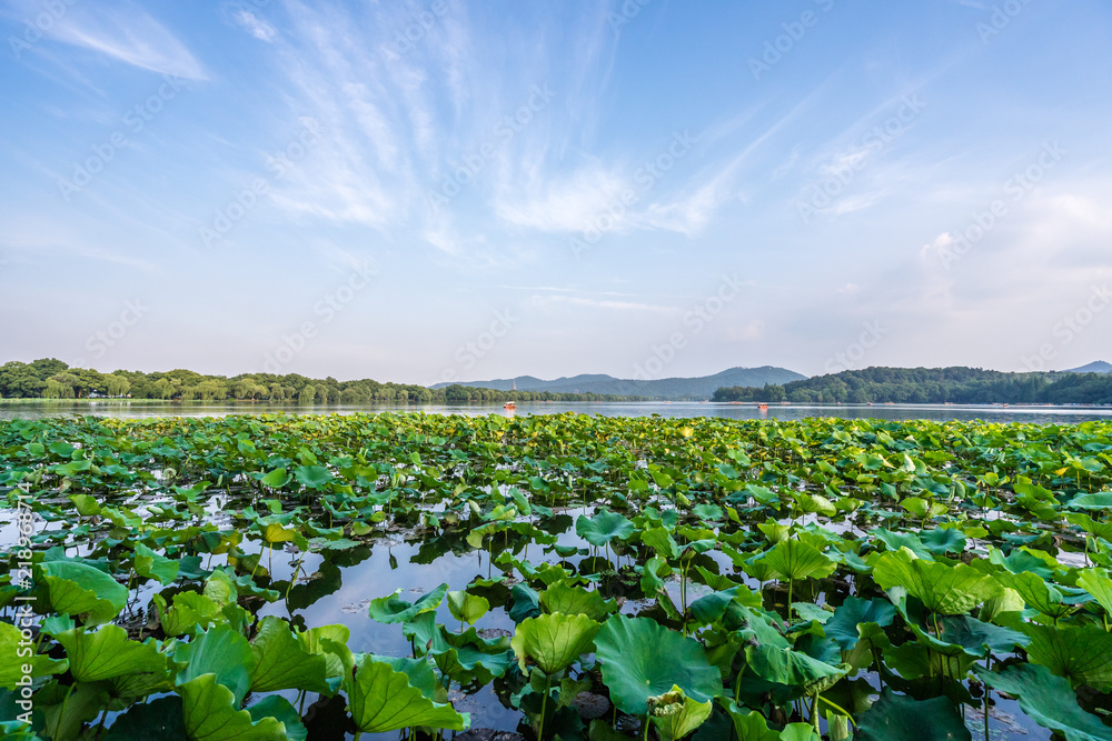 中国杭州西湖景观