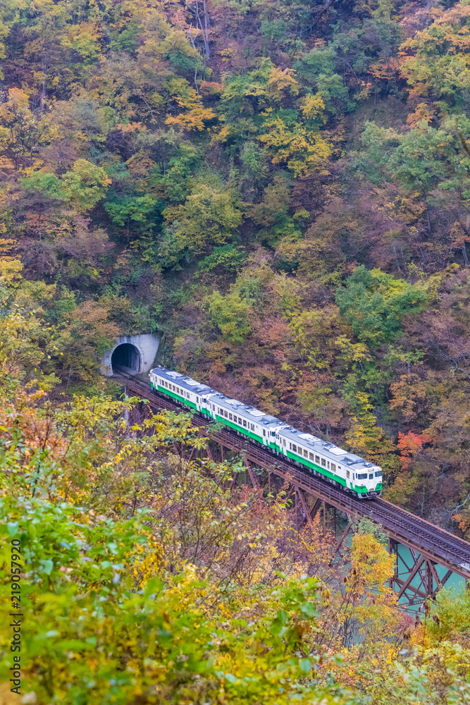 秋天的福岛三岛町田见线