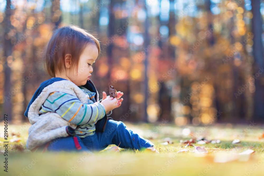 Happy toddler boy playing outside in the autumn