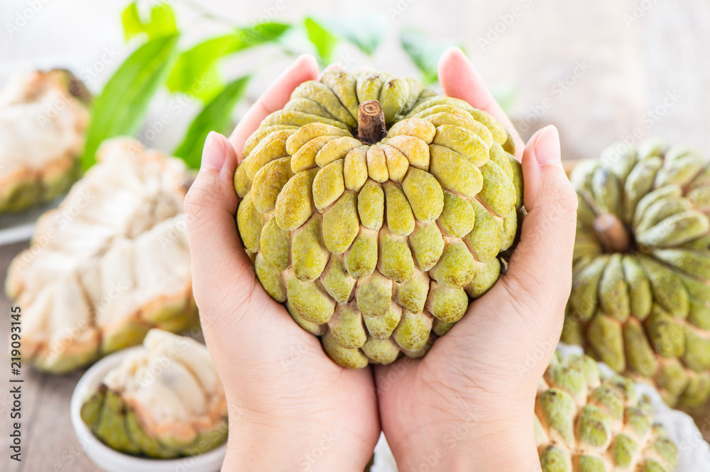 新鲜的糖苹果果（Custard apple），木桌背景的甜苹果