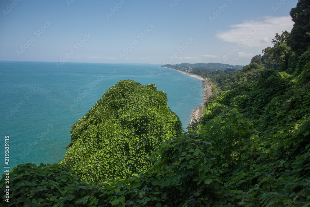 绿色的海洋和海岸