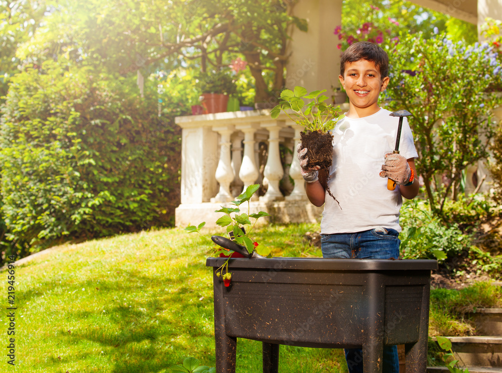 Happy boy planting strawberries in container