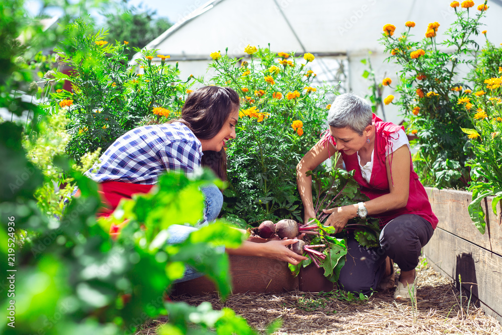 Young girl with mother working in vegetable garden