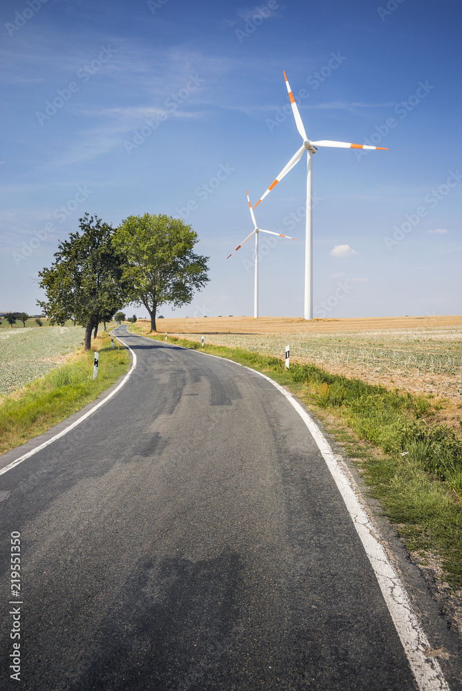 asphalt road outdoor and view to trees and wind generators