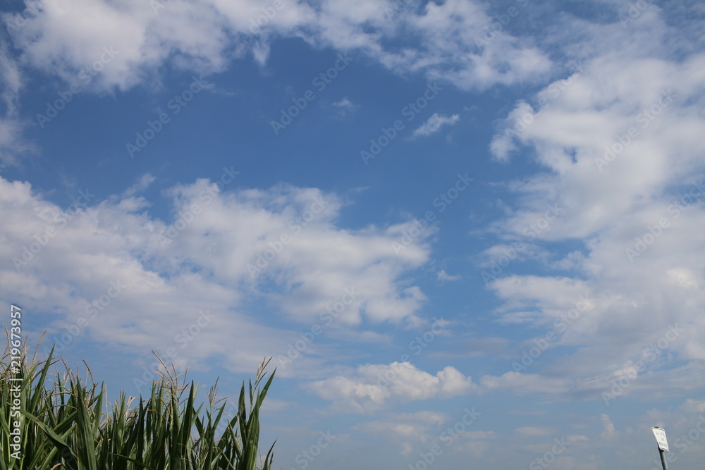 云和田野