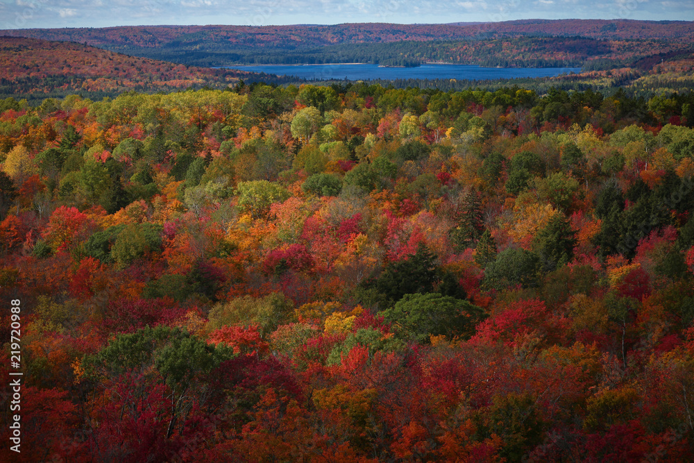 Autumn Colors