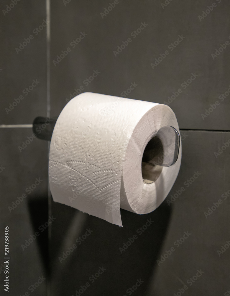 Toilet paper roll