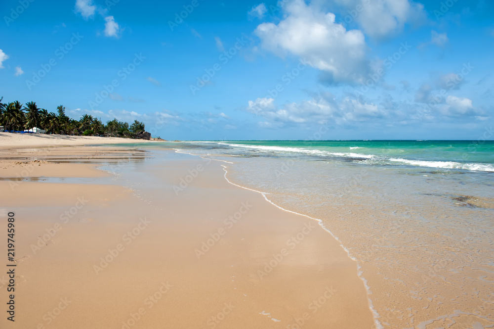 夏日海滩与海洋