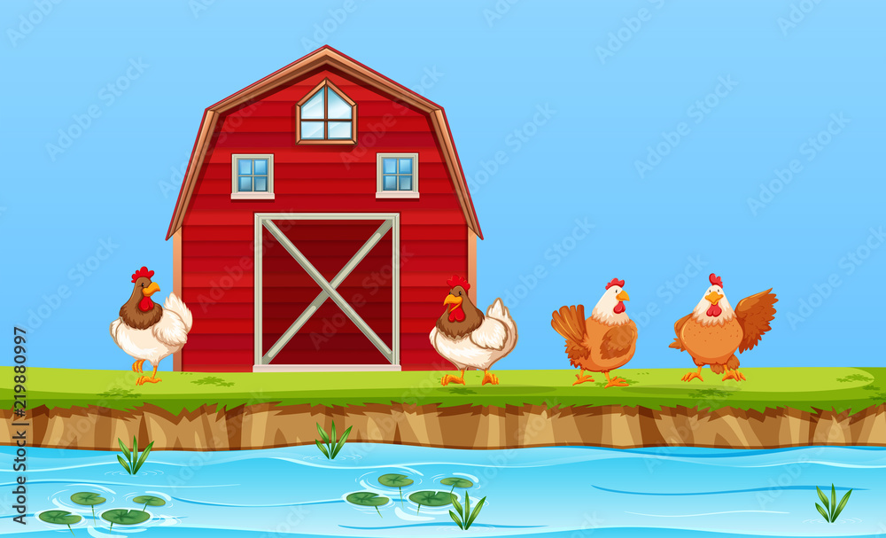 Chickens on farm scene