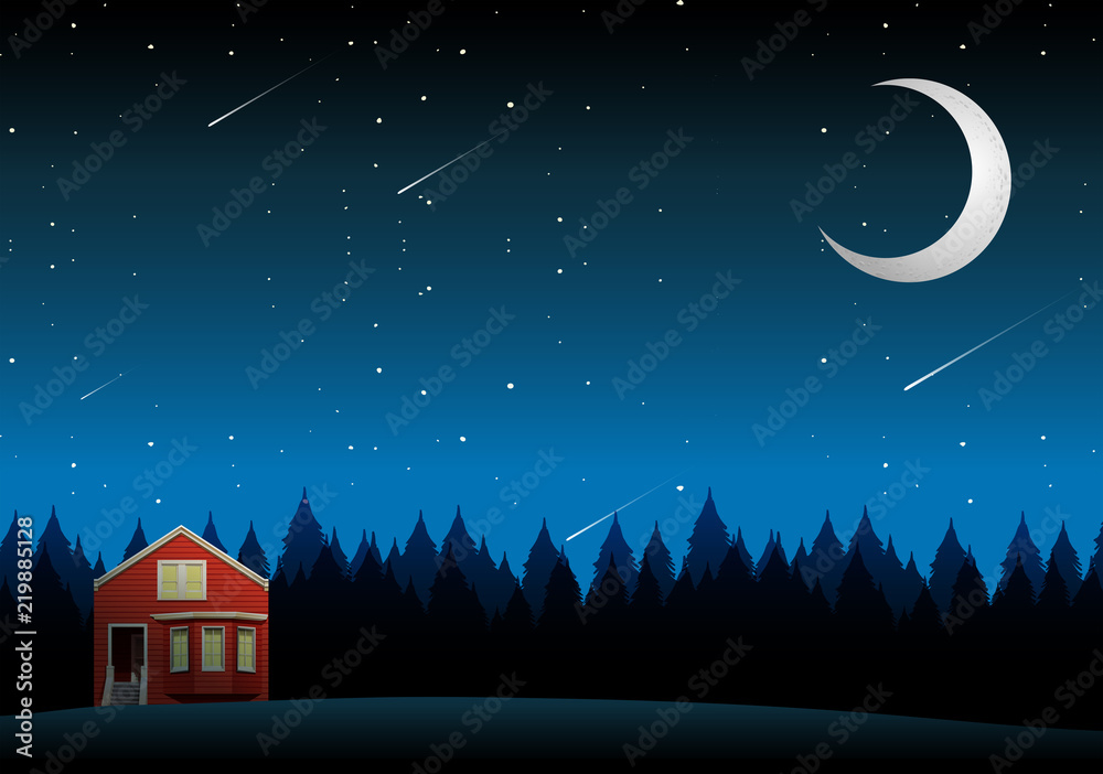 A rural house landscape at night