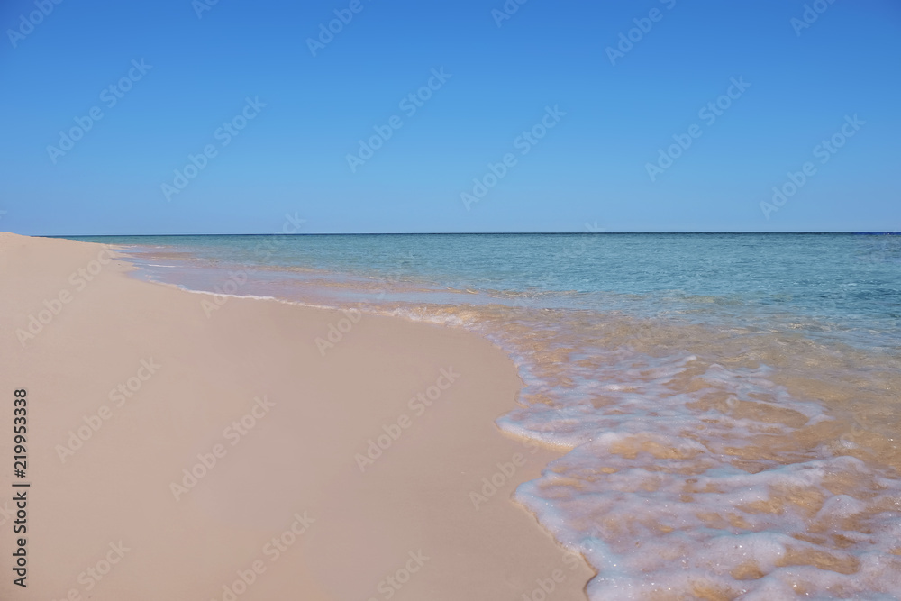 阳光明媚的夏日沙滩美景