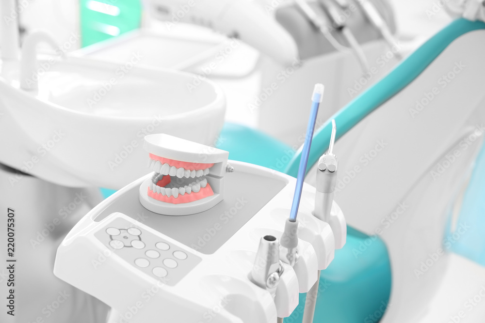 Model of jaw and equipment in modern dentists office