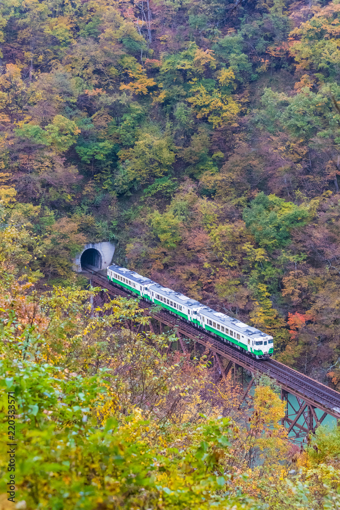 秋日福岛三岛町田见线