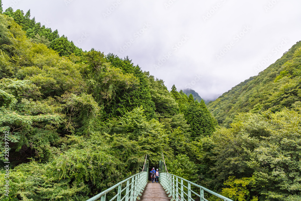 登山道の橋