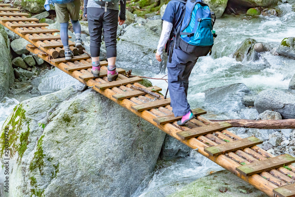 登山道の橋