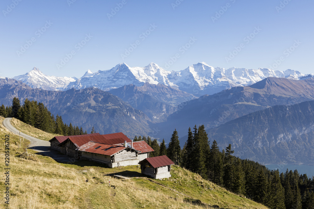 与艾格一起在瑞士伯尔尼高地的尼德霍恩山上建造小屋的秋季高山景观