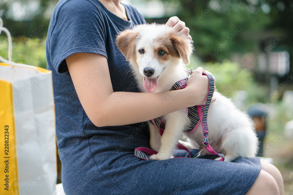 Dog and hostess, park background