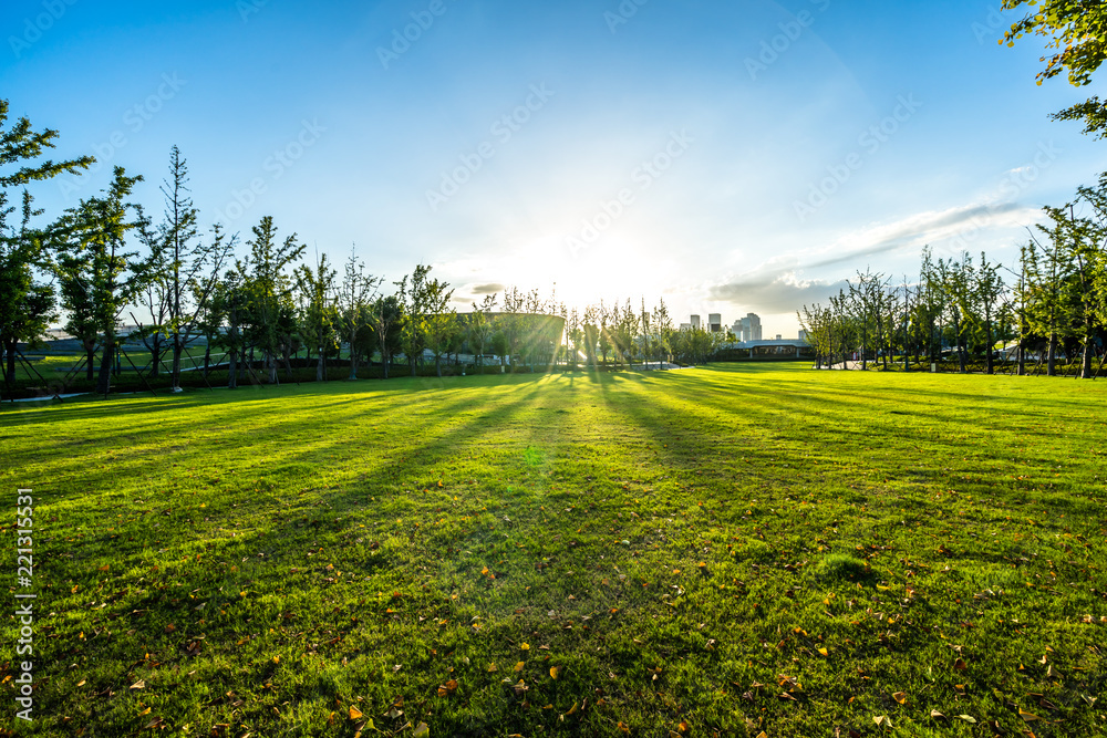 green lawn with city skyline in hangzhou china