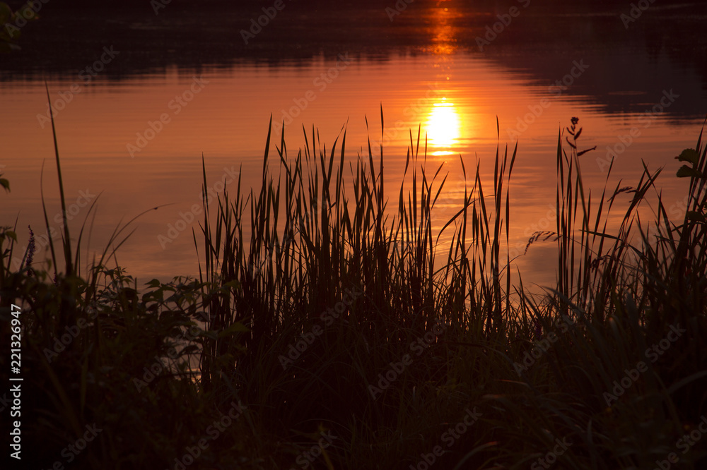 Grass silhouette with a reflection of the evening sun in the water.