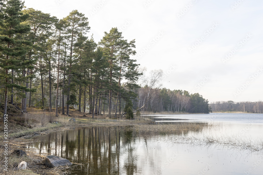 Stränder och skog i en vik ute på Ingarö utanför Stockholm