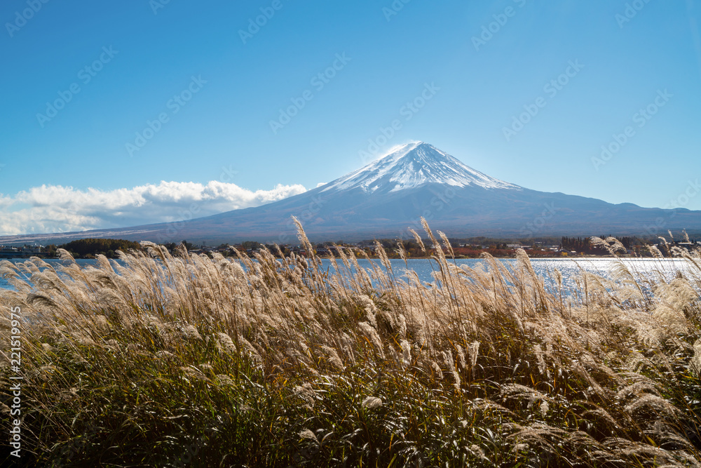 Mount Fuji in Autumn Color, Japan