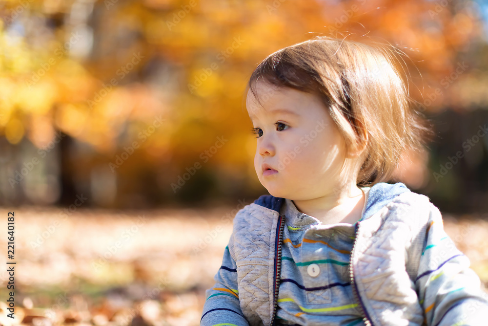 Toddler boy playing outside in the autumn