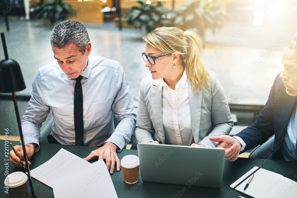 Group of mature businesspeople working together in an office lob