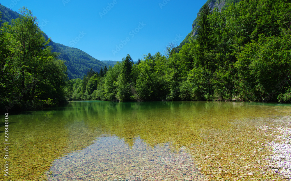 森林与河流