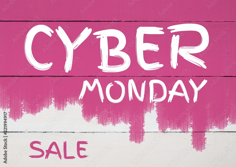 Cyber Monday Sale on pink painted wall