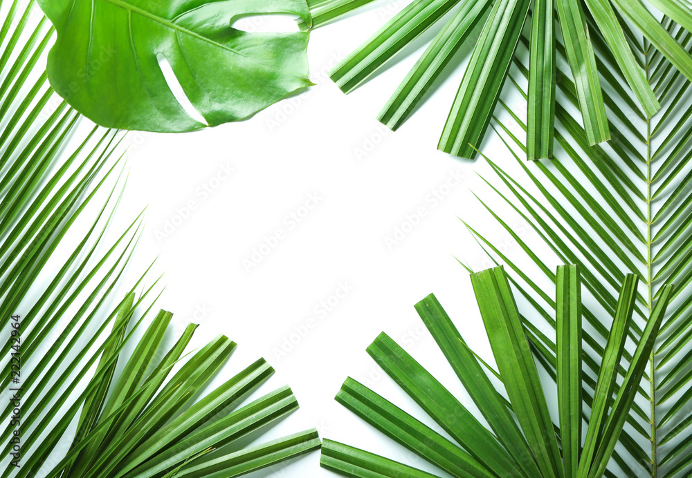 Frame made of fresh tropical leaves on white background