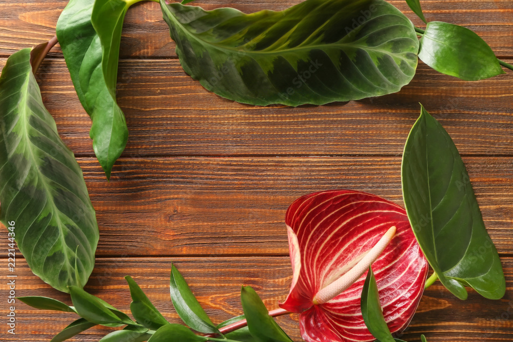 Frame made of beautiful anthurium flower and tropical leaves on wooden background