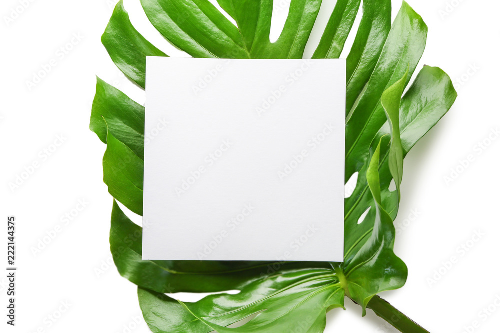 Monstera leaves and blank card on white background