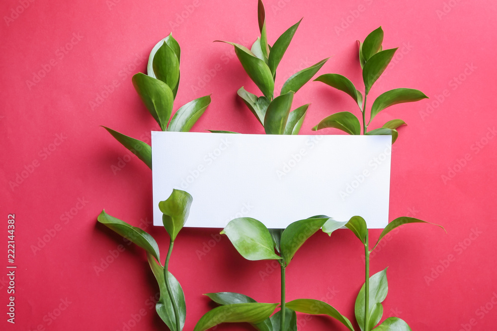 Branches of Ruscus and blank card on color background