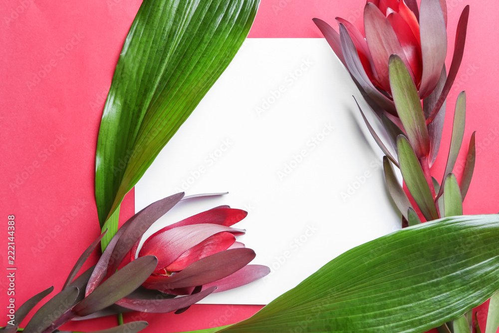 Tropical flowers, leaves and blank card on color background