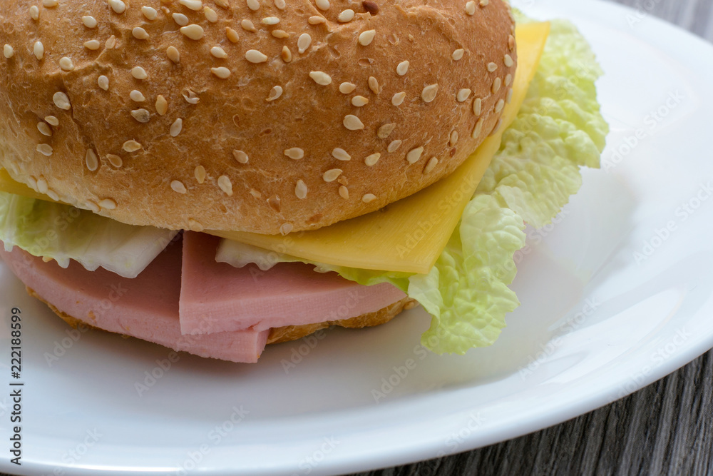 Close up photo of tasty appetising cheeseburger with ham and salad on white plate